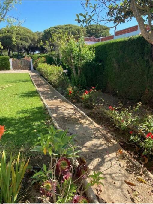 Villa Tierra Del Sur Conil De La Frontera Esterno foto